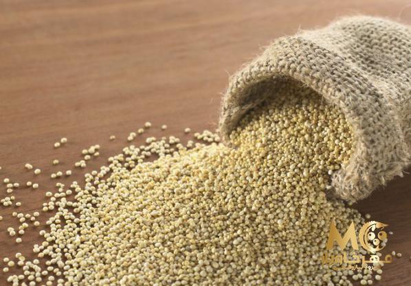 پخش کنندگان بی واسطه خاویار گیاهی