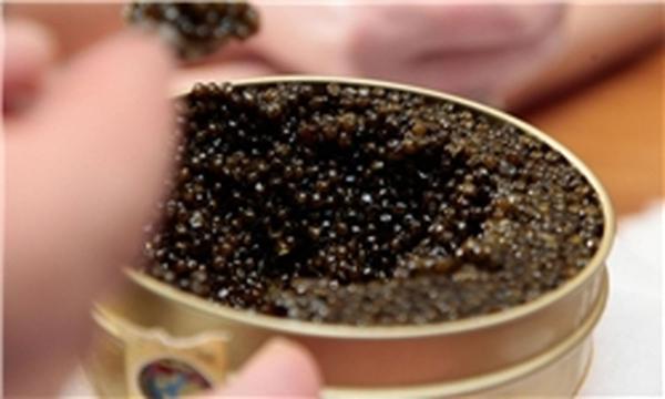 اطلاعاتی مختصر در مورد خاویار پرورشی